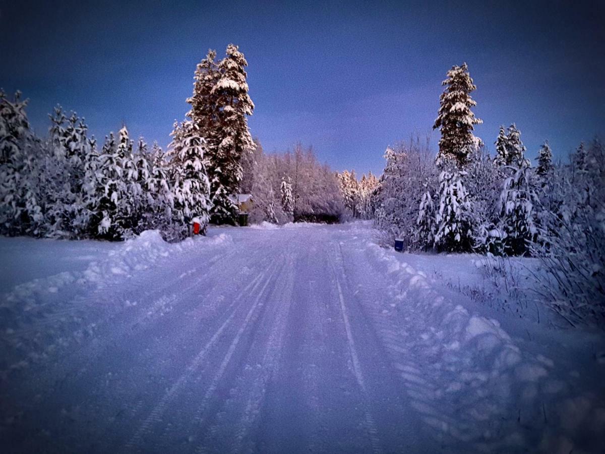 Scandinavian Dream Cottages Vikajarvi- Rovaniemi المظهر الخارجي الصورة
